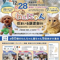 わんにゃん住まいる譲渡会