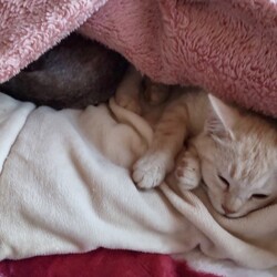 「今日も仲良し」サムネイル3