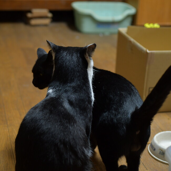 鈴木　龍祐のカバー写真