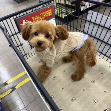 初めてお洋服を買いに行きました