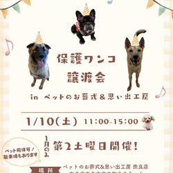 保護ワンコ譲渡会 in ペットのお葬式＆思い出工房