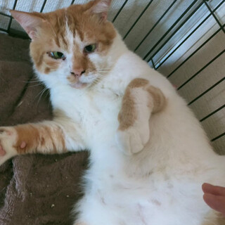 ���ڂ������I�����ł��Ԏ�����A�[�E�B��