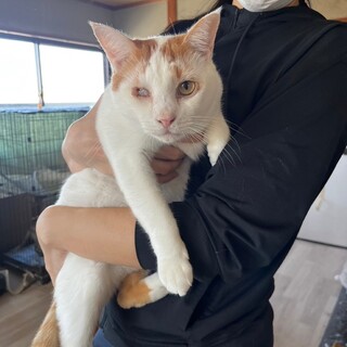 ��񂿂�Ől����D���I�Ǌ�̃p���}�[����