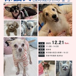 forわんDog譲渡会at徳浄寺