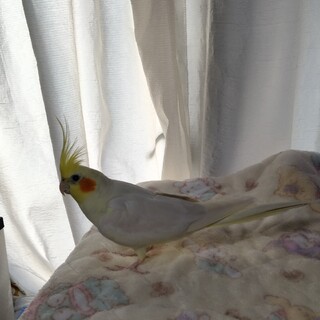 宜しくお願いします。1