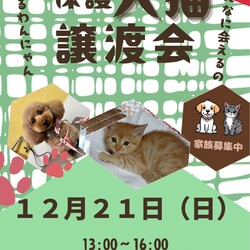保護犬猫譲渡会