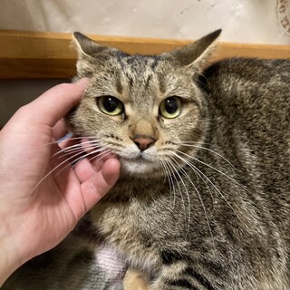 丸顔の姉妹　万里ちゃん