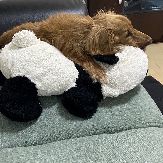 カズイチのカバー写真