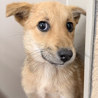 「生後4ヶ月」身体の小さな女のコ