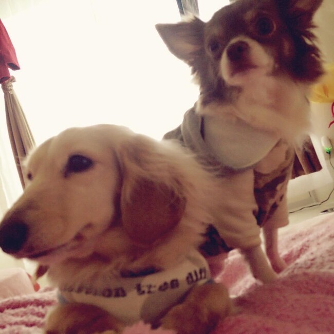 りなぴ。のカバー写真