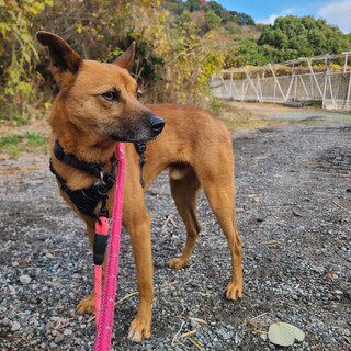 カンロくん(まあくんハウス)
