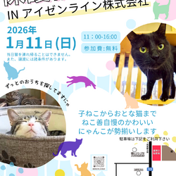 ねこ善保護猫譲渡会