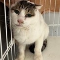お迎えありがとうございました！