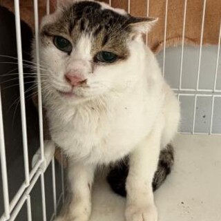 お迎えありがとうございました！