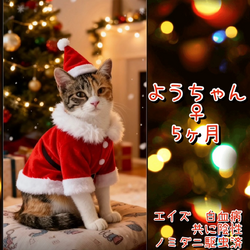 保護犬　保護猫譲渡会 サムネイル2