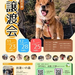 岐阜県関市の保護犬譲渡会
