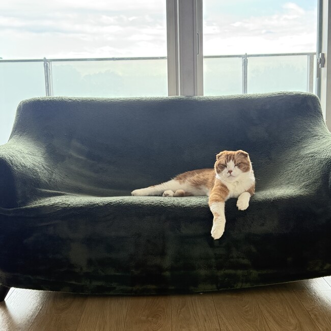もちもちちくわのカバー写真