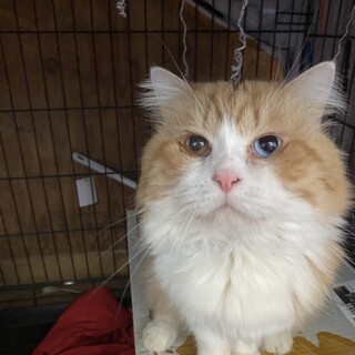 大人しいおっとりさんの男の子