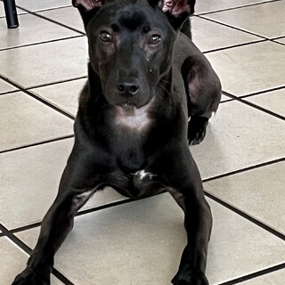 無邪気でまだまだお子ちゃまなゾーイ君