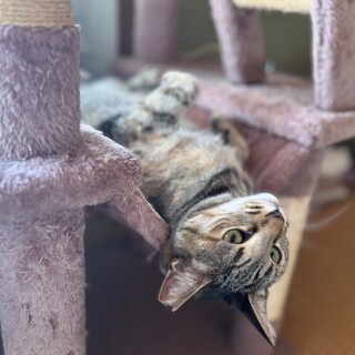 今度こそ幸せになりたいな