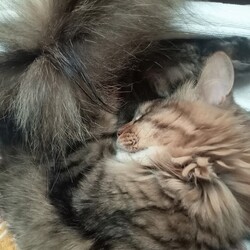 膝抱っこでグッスリ