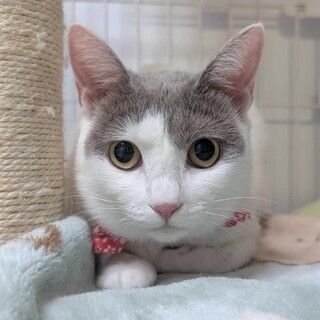 【12/21東日本橋】とても親しい♡ゆいちゃん