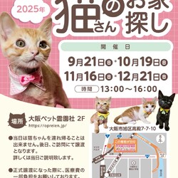 第88回 ViVAキャッツ譲渡会