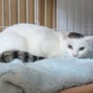 【3/29東日本橋】はなわちゃんと❤️まるこちゃん