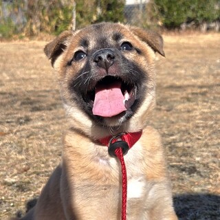 推定2、5ヶ月弱の女の子