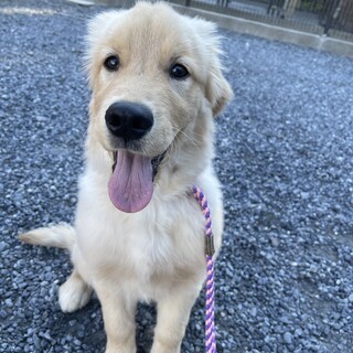 Τ���罸�Υ�����ǥ��ȥ�С��Ҹ�����븩