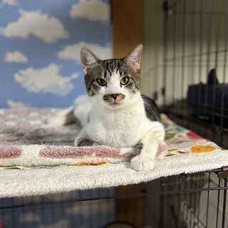 足下にまとわりつくストーカー君❣️