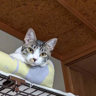 お顔も性格もめちゃくちゃ可愛い????