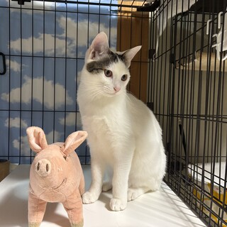 喜ぶとクルクルと回る可愛い男の子