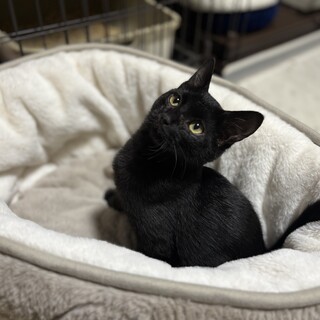 危機一髪！助かった命