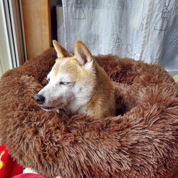 「今年も無事に( ´ー')」サムネイル3