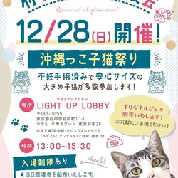 12/28(日)府中猫の会譲渡会