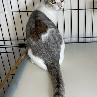 オムくん♂@約6ヶ月