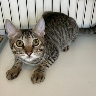 フライくん♂@約5ヶ月