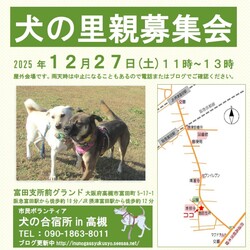 「犬の合宿所in高槻」の里親募集会 サムネイル1