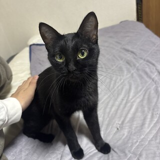 仕事場の関係で飼えなくて困ってます。