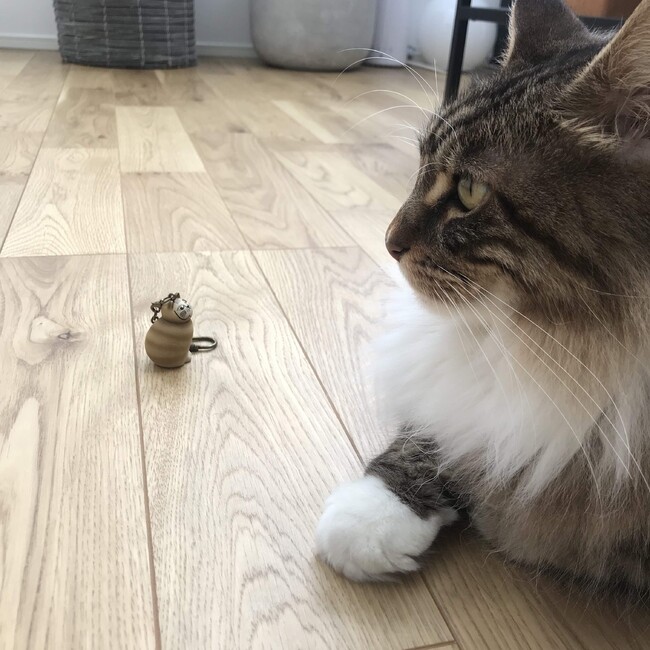 りょうはるかのカバー写真