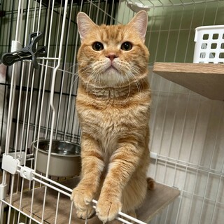 オモチャ遊びに大興奮！！★清春くん