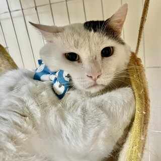 優しく穏和❤️エイズキャリア