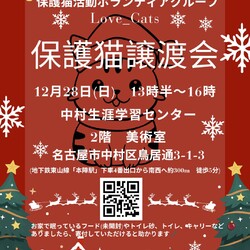 Love_Cats保護猫譲渡会　名古屋市中村区
