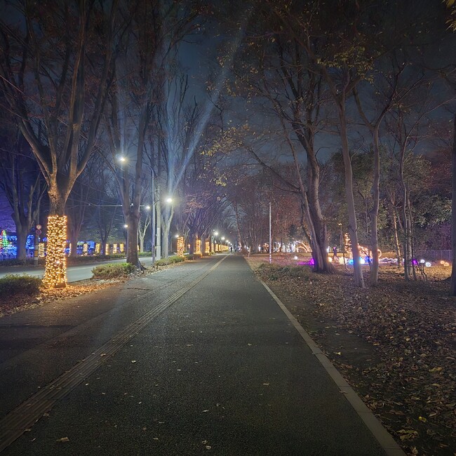 ことPのカバー写真