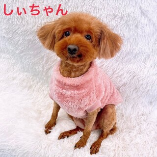 食欲旺盛☆しぃちゃん