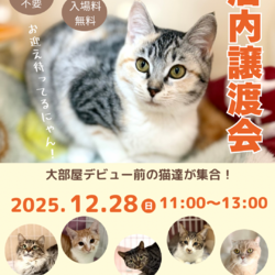 今年最後の店内ふれあい譲渡会 サムネイル1