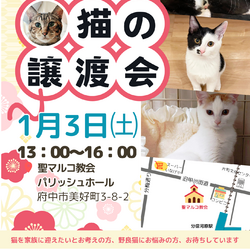1月3日（土）「保護猫の譲渡会」開催します！