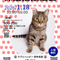 ラブとハッピー府中【保護猫譲渡会】