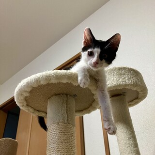 ありがとうございました★おにぎり坊やのミカンくん